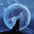 Howl at the moon by Richard Conti