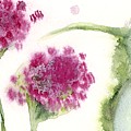 Hummingbird Popsicles #1 Painting by Dawn Derman