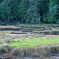 Hunting in the PNW by Tikvah's Hope