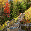 Huron Manistee National Forest in Michigan with fall colors Photograph by Eldon McGraw Huron Manistee National Forest in Michigan with fall colors Photograph by Eldon McGraw