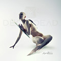 Hybrid Assassin Digital Art by Argus Dorian Hybrid Assassin Digital Art by Argus Dorian