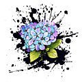 Hydrangea - Ink by Anastasiya Malakhova