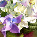 Hydrangea Painting by Espero Art Hydrangea Painting by Espero Art