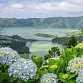 Hydrangeas Overlooking Sete Cidades Photograph by Denise Kopko Hydrangeas Overlooking Sete Cidades Photograph by Denise Kopko
