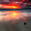 Hypnosis Photograph by Evgeni Dinev Hypnosis Photograph by Evgeni Dinev