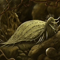 Hypotrich ciliate Digital Art by Kate Solbakk Hypotrich ciliate Digital Art by Kate Solbakk