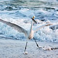 I caught it by Kevin Lester