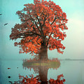 IA Collection - Autumn Trees #4 by Philippe Sainte-Laudy