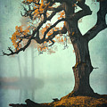IA Collection - Autumn Trees #5 by Philippe Sainte-Laudy