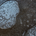 Ice Abstract With Bubbles Photograph by Karen Rispin Ice Abstract With Bubbles Photograph by Karen Rispin