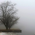 Ice and Fog on the Delaware River Photograph by Linda Stern Ice and Fog on the Delaware River Photograph by Linda Stern
