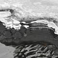 Ice and light Photograph by Nicola Finch Ice and light Photograph by Nicola Finch