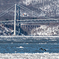 Ice Floe Photograph by Kevin Suttlehan Ice Floe Photograph by Kevin Suttlehan