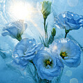 Ice Lisianthus 1 by Alex Mir