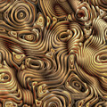Illusions Of Skin by Diane Parnell