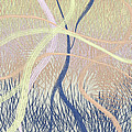 Improvisation 10240 Digital Art by Bentley Davis Improvisation 10240 Digital Art by Bentley Davis
