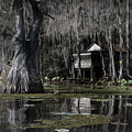 In Better Days by Sandra Bronstein
