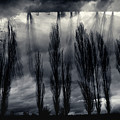 In Between Dreams by Dorit Fuhg