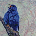 Indigo Bunting Singing A Love Song by Phil Chadwick