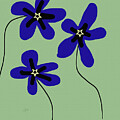 Indigo Trio of Flowers   by Shelli Fitzpatrick
