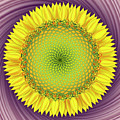 Infinity Summer Digital Art by Becky Titus Infinity Summer Digital Art by Becky Titus