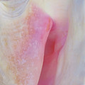 Inner Beauty by Kathi Mirto