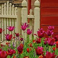 Inside the Gate by Kathi Isserman