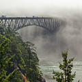 Into The Mist Photograph by Michael Rauwolf Into The Mist Photograph by Michael Rauwolf