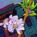 Intown Macon Cherry Blossom Painting by Rod Whyte Intown Macon Cherry Blossom Painting by Rod Whyte