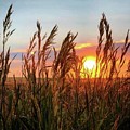 Iphonography Sunset 5 Photograph by Julie Powell Iphonography Sunset 5 Photograph by Julie Powell