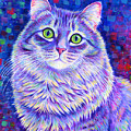 Iridescence - Colorful Gray Tabby Cat Painting by Rebecca Wang Iridescence - Colorful Gray Tabby Cat Painting by Rebecca Wang