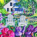 Irises Painting by Diane Phalen Irises Painting by Diane Phalen
