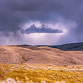 Is That Cloud Holy? by Bryan Spellman Is That Cloud Holy? by Bryan Spellman