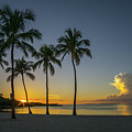 Islamorada Sunset  by Joey Waves