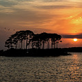 Island Orange Sunset Photograph by Beachtown Views Island Orange Sunset Photograph by Beachtown Views