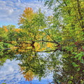Isle Of Ferns Park Fall Reflection Photograph by Dale Kauzlaric Isle Of Ferns Park Fall Reflection Photograph by Dale Kauzlaric