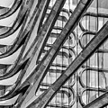 It Is Complicated Photograph by Elvira Peretsman It Is Complicated Photograph by Elvira Peretsman