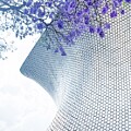Jacarandas at the Soumaya by Leslie Brashear