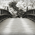 Japanese Dream Infrared Photograph by Adam Romanowicz Japanese Dream Infrared Photograph by Adam Romanowicz