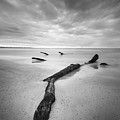 Jekyll Island Driftwood In Black And White Photograph by Jordan Hill Jekyll Island Driftwood In Black And White Photograph by Jordan Hill
