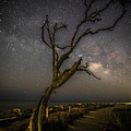 Jekyll Island Night Sky Photograph by Nick Noble Jekyll Island Night Sky Photograph by Nick Noble