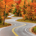Jens Jensen Winding Road Panoramic Photograph by Adam Romanowicz