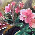 Joannes Flowers Painting by Judith Levins Joannes Flowers Painting by Judith Levins