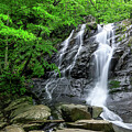 Jones Run Falls by Chris Berrier
