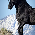 Jtr59639 Photograph by John T Humphrey Jtr59639 Photograph by John T Humphrey