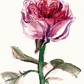 Juliet Rose Painting by George Cret Juliet Rose Painting by George Cret