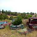 Junkyard Series Rusty Pickups Photograph by Cathy Anderson Junkyard Series Rusty Pickups Photograph by Cathy Anderson