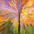 Kaleidoscope of Color by Darylann Leonard Photography