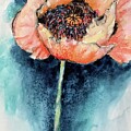 Karmas Poppie  by Tara Moorman