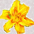 Katydid on Daylily Mixed Media by Christopher Reed Katydid on Daylily Mixed Media by Christopher Reed
